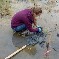 Biologička Anna Betechtinová zbiera rastliny na analýzu