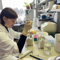 Biologička Irina Pevznerová aplikuje vzorky moču na polyakrylamidový gél