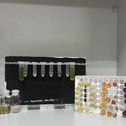 Hotové eutektické extrakty