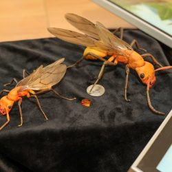 Ilustračná snímka 342