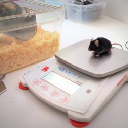 Ilustračná snímka 358