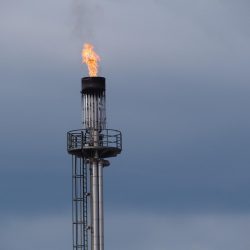 Ilustračná snímka 359