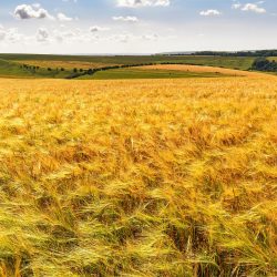 Ilustračná snímka 373