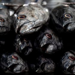 Ilustračná snímka 383