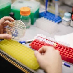 Ilustračná snímka 387