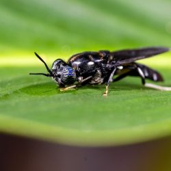 Ilustračná snímka 400