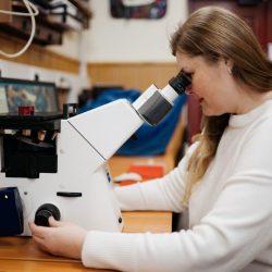 Ilustračná snímka 426