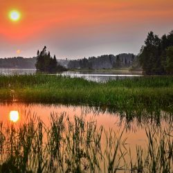 Ilustračná snímka 431