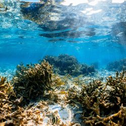 Ilustračná snímka 436