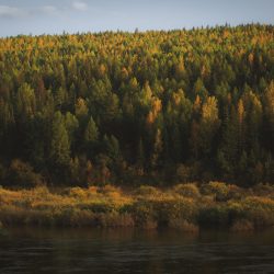 Ilustračná snímka 439