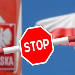 Ilustračný obrázok 231