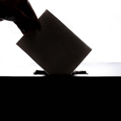 Ilustračný obrázok 239