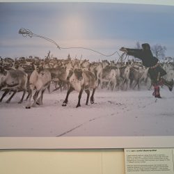 Jeden z fotografických skvostov výstavy