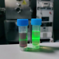 Roztoky nanočastíc so zlatom (vľavo) a bez neho (vpravo)