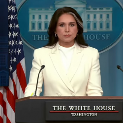 Tulsi Gabbardová 2
