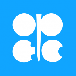 Vlajka organizácie OPEC. Ilustračný obrázok