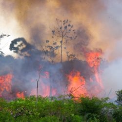 Vypaľovanie pralesa v Brazílii. Ilustračná snímka