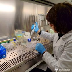 Výskumníčka Jana Kaminská z Laboratória behaviorálnej neurogenomiky v Ústave cytológie a genetiky sibírskej pobočky RAV pri práci