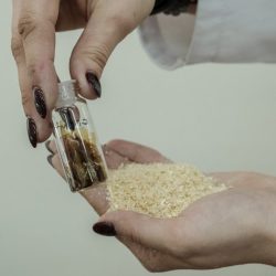 Vzorka sulfátovaného polysacharidu a smrekové piliny